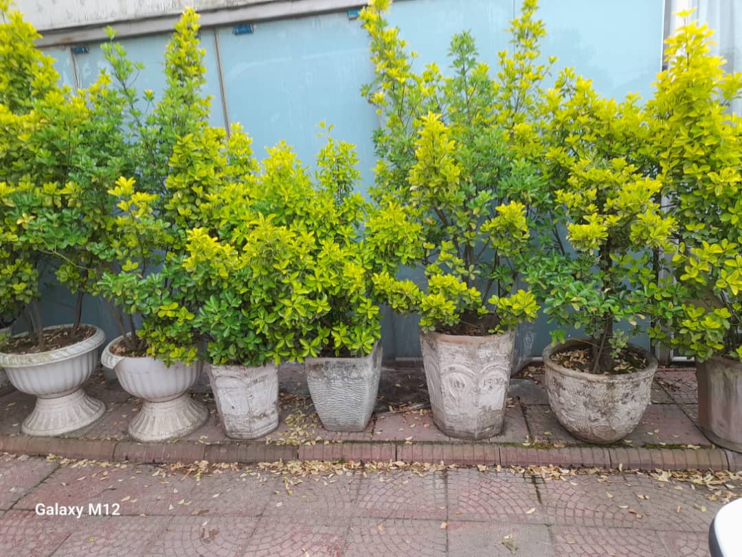 پرسنل مجرب و خوش‌برخورد